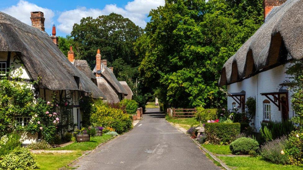 Thatched cottages in Hampshire