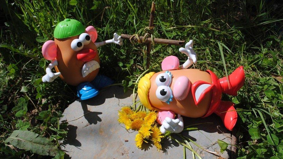 Mr and Mrs Potato Head as Romeo and Juliet