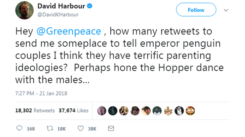 Twitter screengrab of David Harbour's first tweet. Reads: Hey @Greenpeace , how many retweets to send me someplace to tell emperor penguin couples I think they have terrific parenting ideologies? Perhaps hone the Hopper dance with the males...