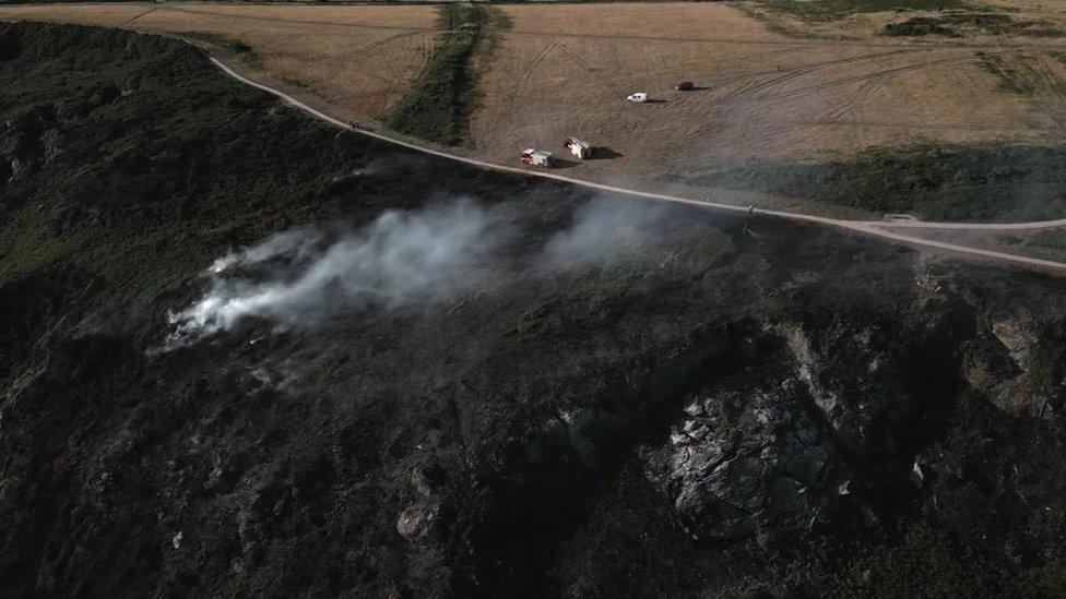 The scorched clifftop at Bolberry Down