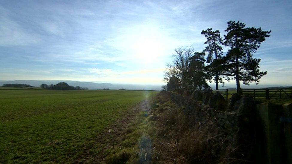 Field at Overbury Farm