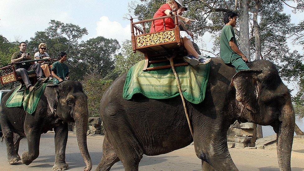 Elephant rides in Cambodia