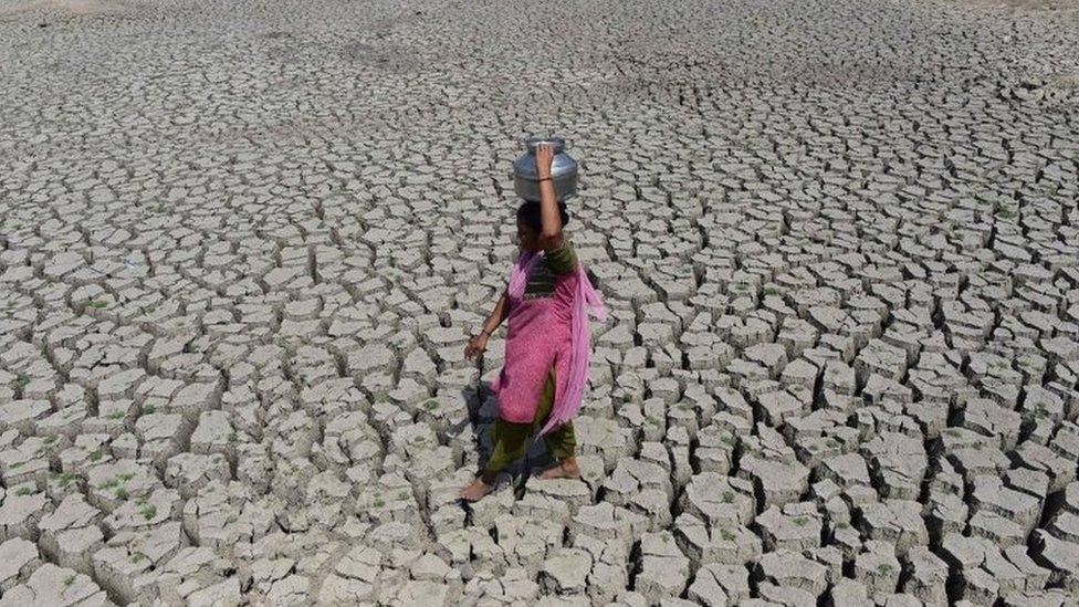 An Indian woman walks on the parched bed of Chandola Lake with a metal pot on her head to fetch water in Ahmedabad on May 20, 2016