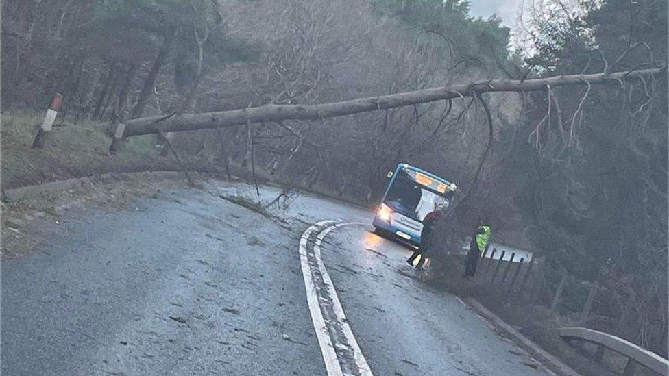 The A92 just after Ladybank