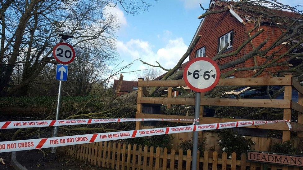 Tree fallen near Hook Road, Epsom, Surrey