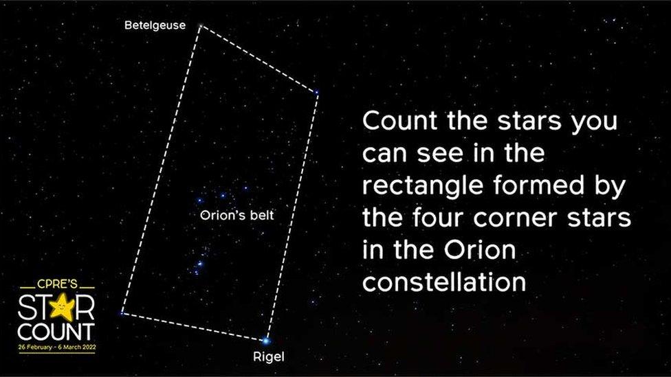 Orion