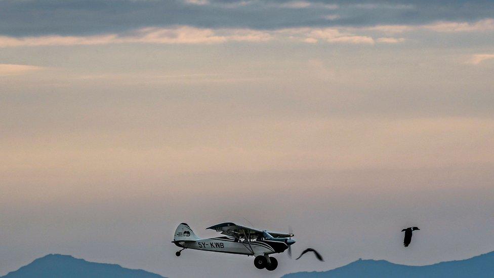 National Wildlife Census plane in the air