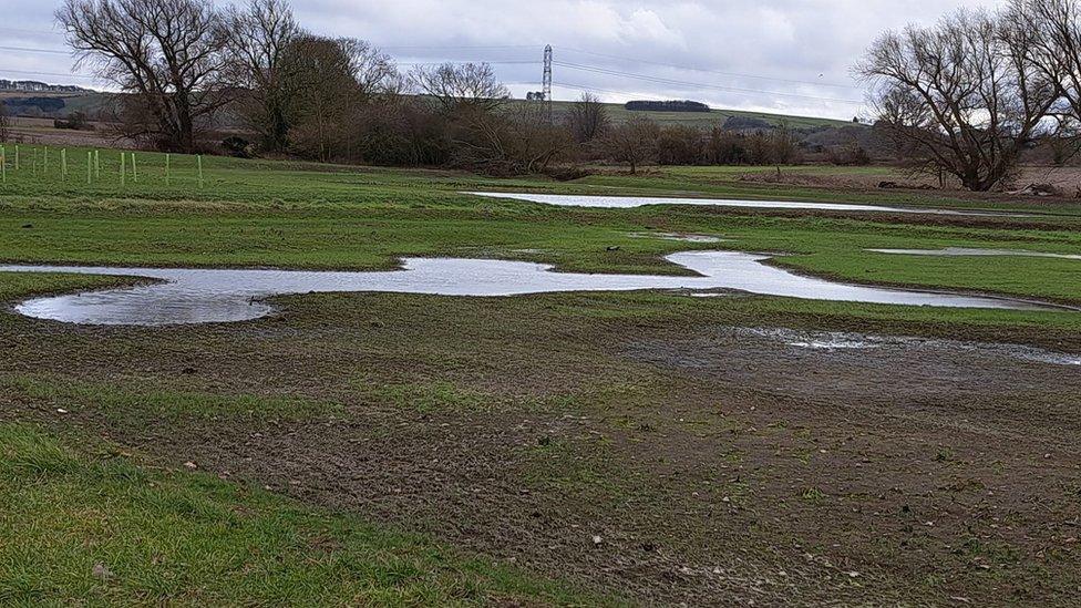 Wilton Wetlands