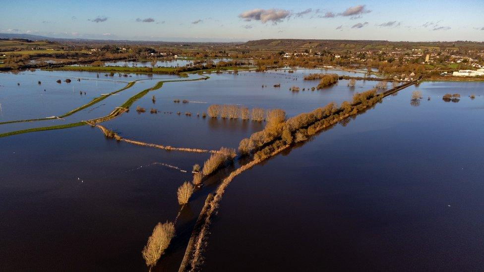 Flooded fields at Muchelney, Somerset