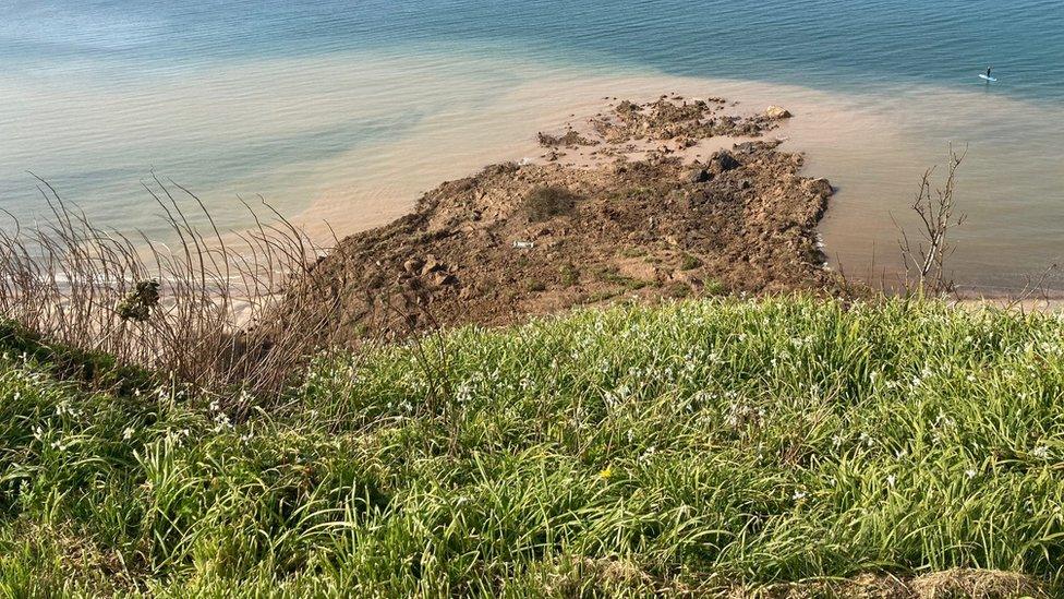 Impact of landslide viewed from a garden