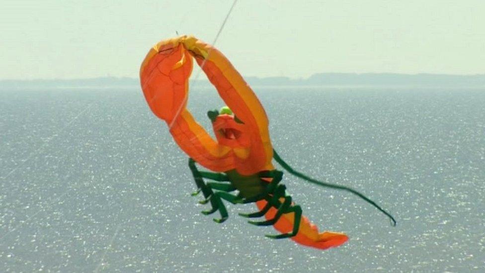 Lobster kite