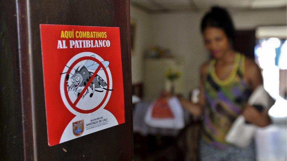 View of a poster against the Aedes aegypti mosquito in Cali, Colombia.