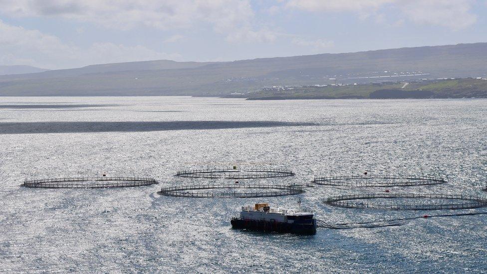 A Bakkafrost salmon farm