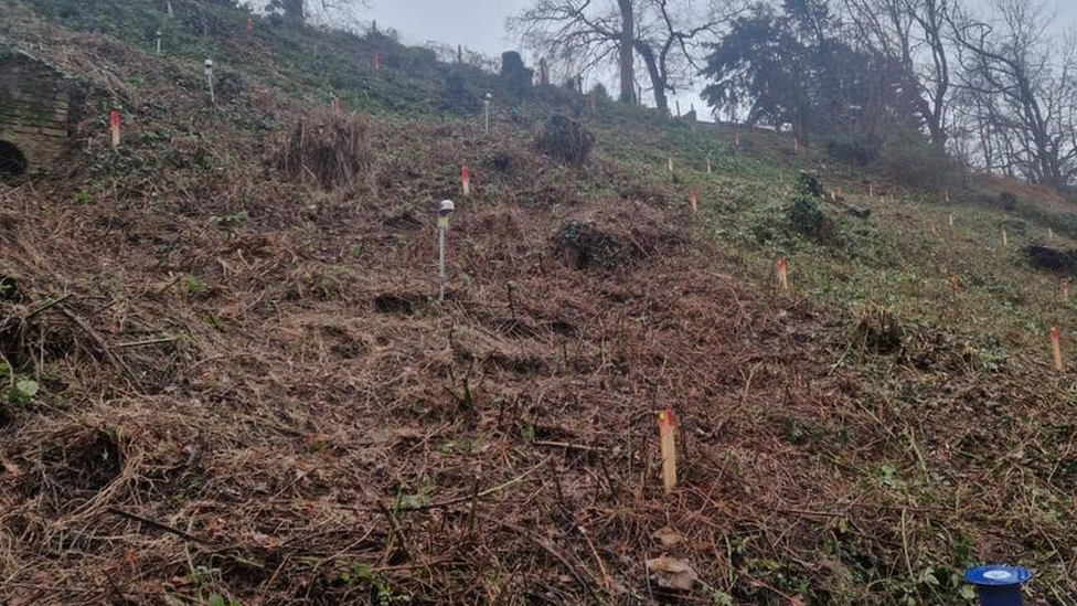 The bank of a railway cutting where work will be carried out