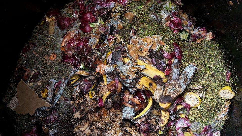 Compost bin contents