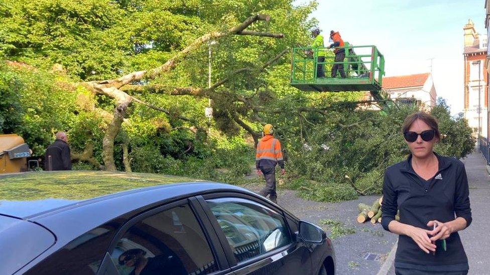 cheryl campbell beside fallen tree in crawford square derry