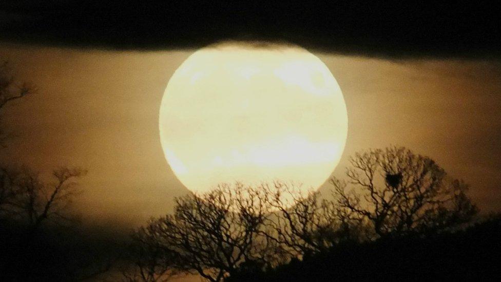 Michalene Mazur took this picture from Perth just as the moon was rising in the sky on Monday evening