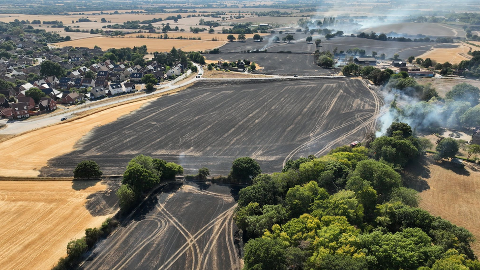 A field fire in Broomfield, Essex