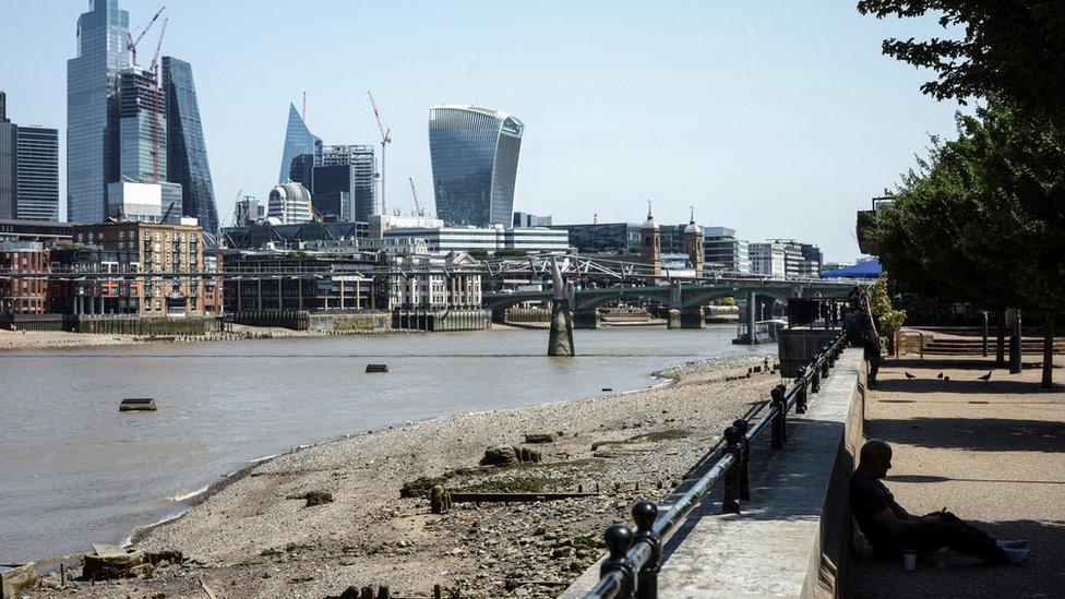 The River Thames during the heatwave in London