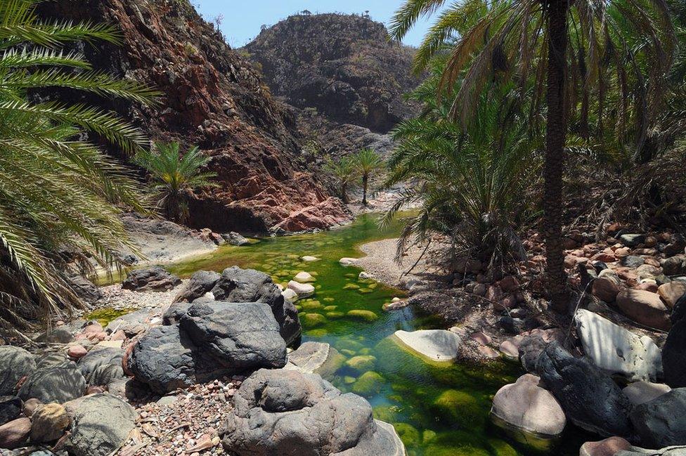 Wadi Dirhur canyon on Socotra