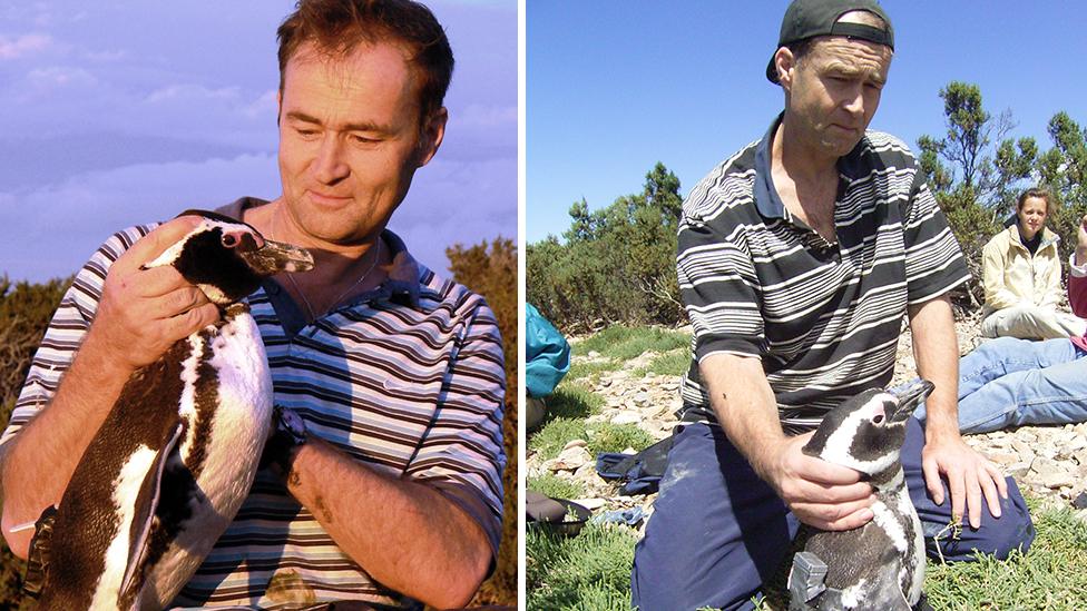 Prof Rory Wilson with penguins