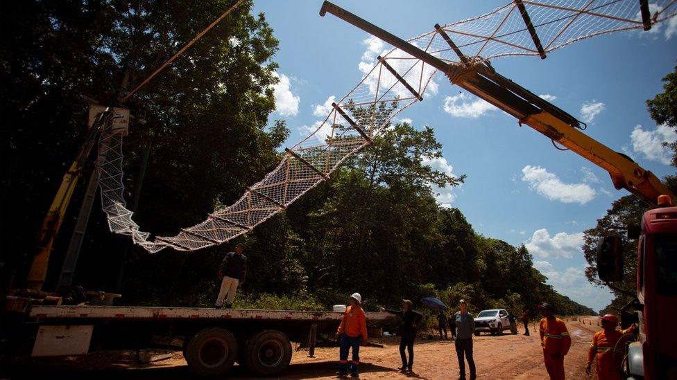 Canopy bridge