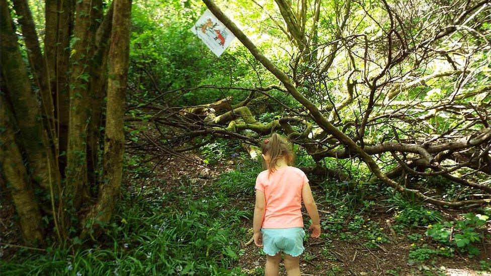 Sophie in the woods