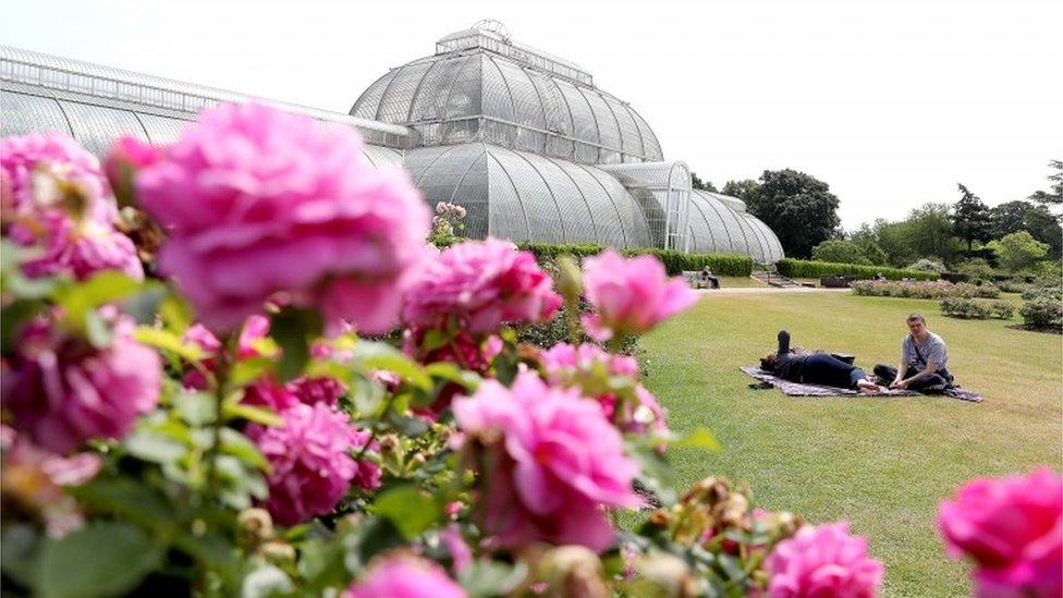 Kew Gardens