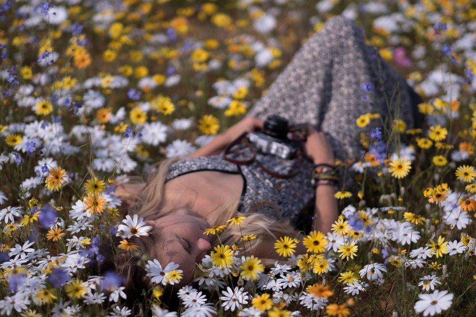 A woman lying on the ground among flowers