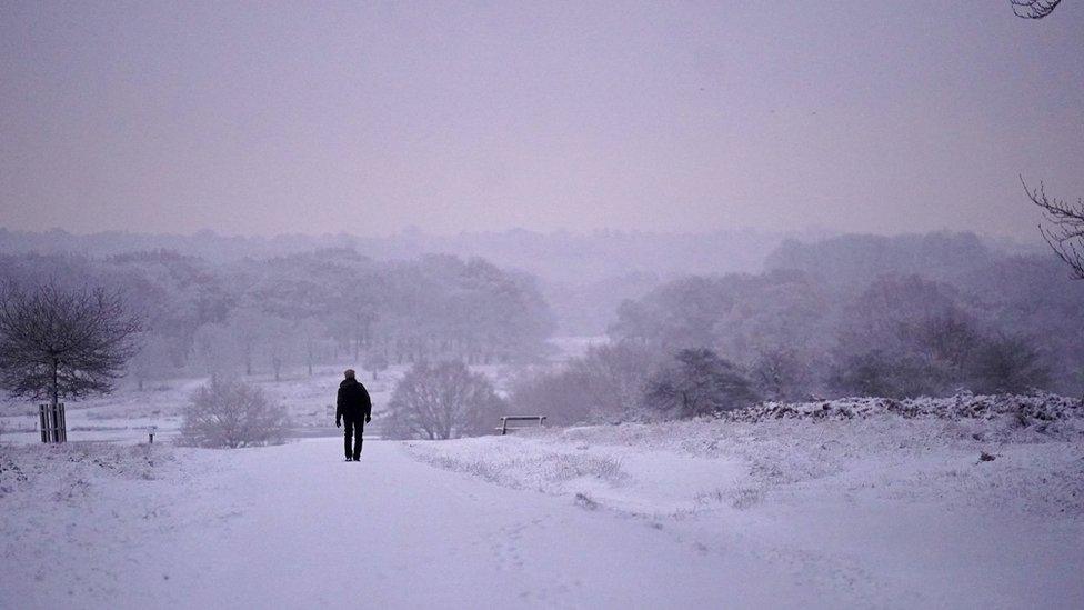 Snow-covered Richmond Park