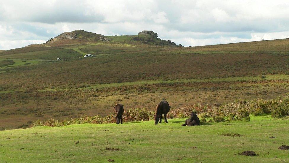 A photo of Dartmoor