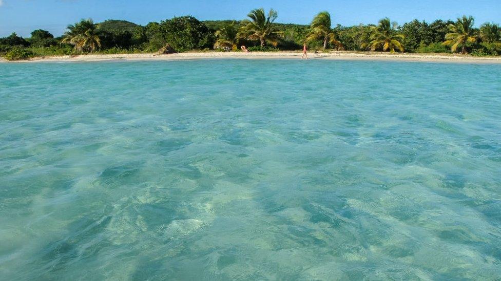 Clear Caribbean water on the white sand beaches of Vieques, Puerto Rico