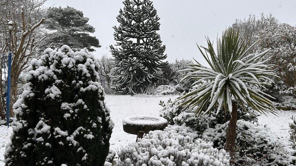 Snow in Wingerworth