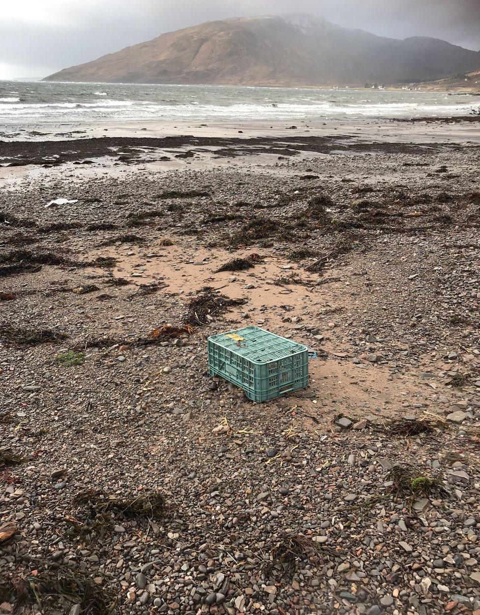 Rubbish at Glenelg