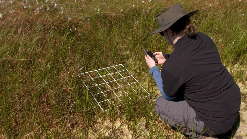 Woman using GPS technology at Thorne and Hatfield Moors