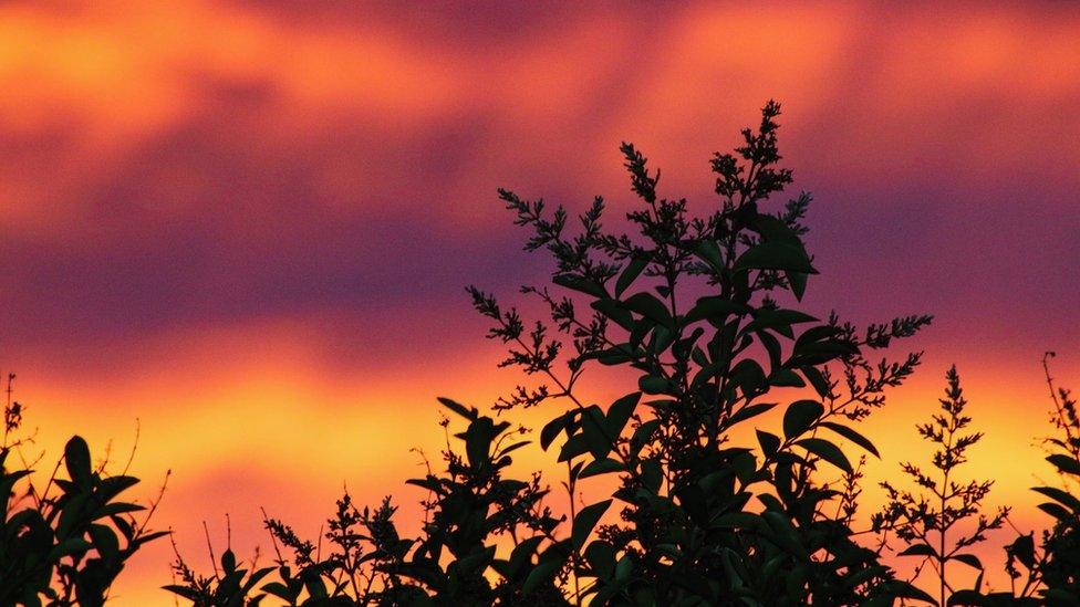 Colourful sky in Abingdon