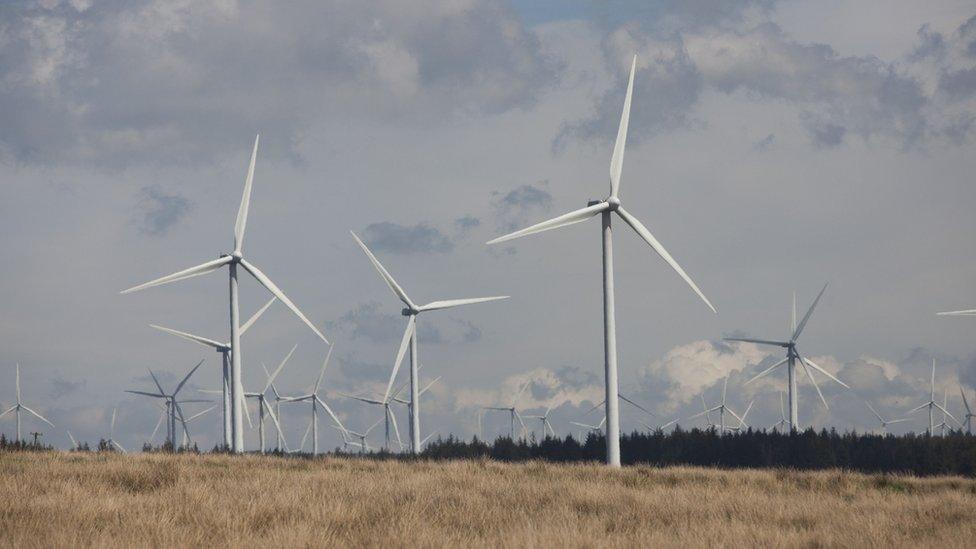 Whitelee wind farm