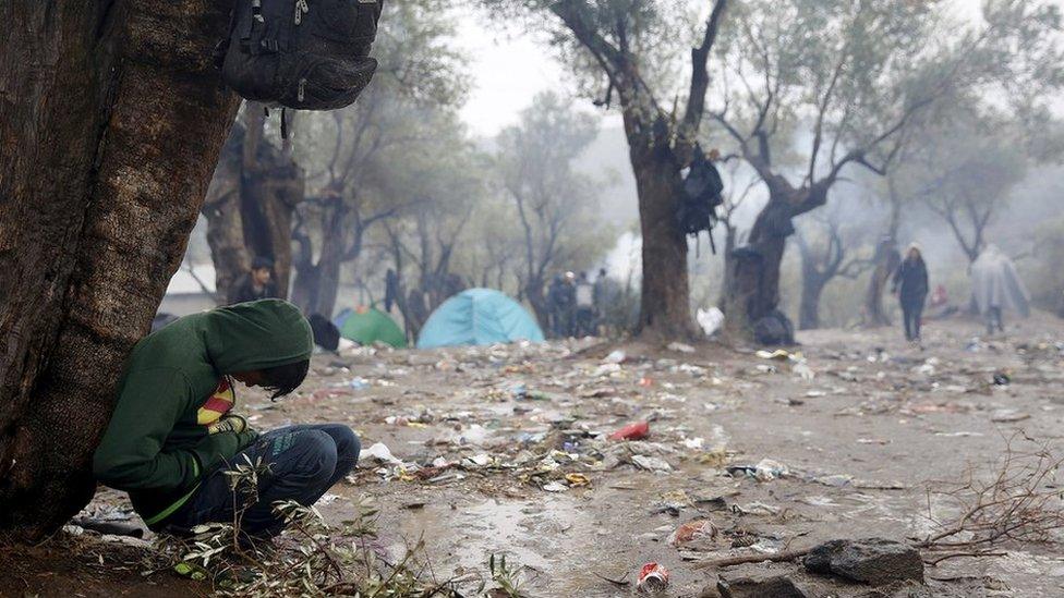 An Afghan migrant sleeps under an olive tree outside a registration camp during a rainstorm on the Greek island of Lesbos