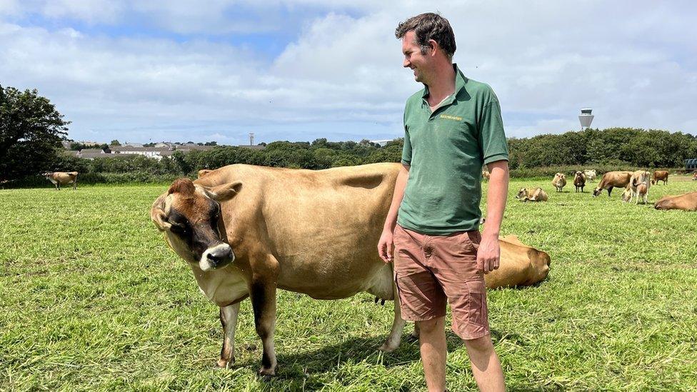 Phil Le Maistre in a field with a cow