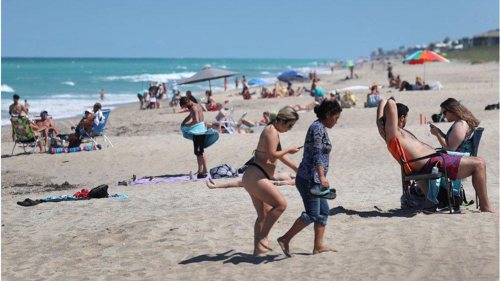 Beach in Florida