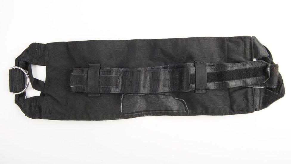 Belt