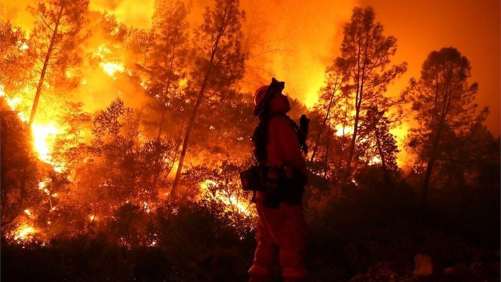 Mendocino Complex fires