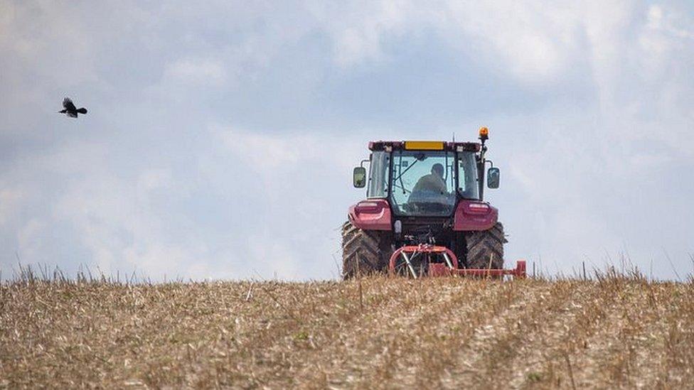 tractor in field