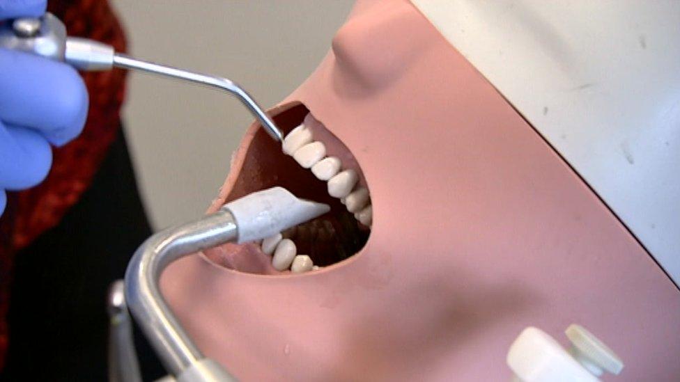 Dentist model