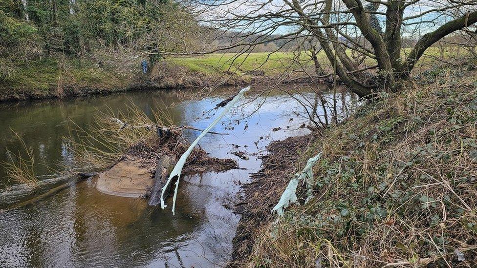 Plastic in river