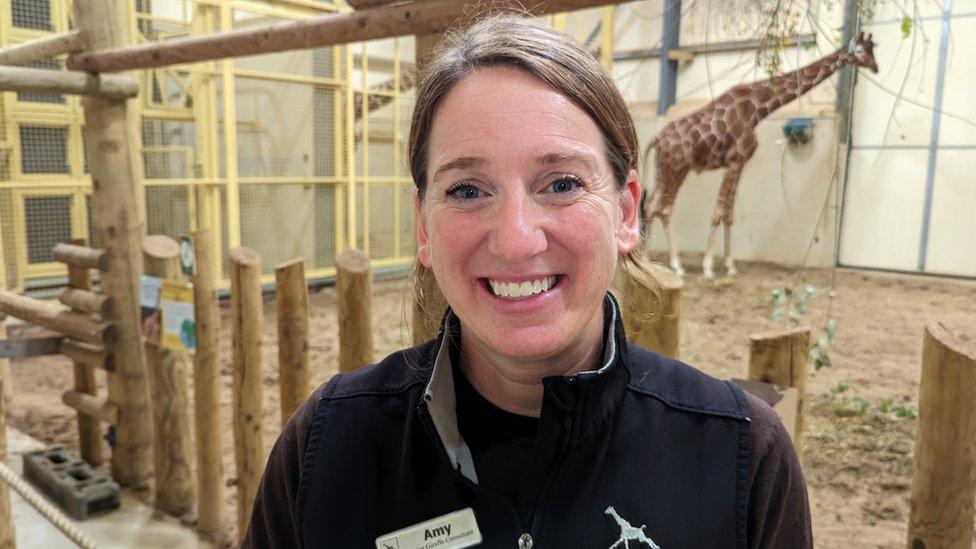 A women smiling at the camera with a giraffe in the background