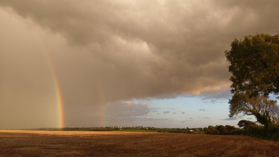 Rainbow over field