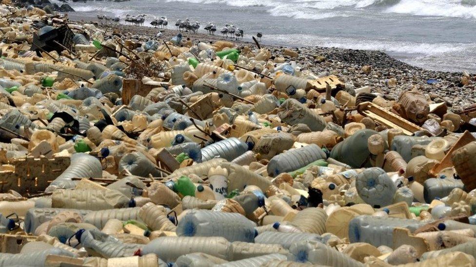 Plastic on a beach near Beirut