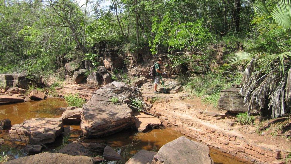 researcher on banks of a stream