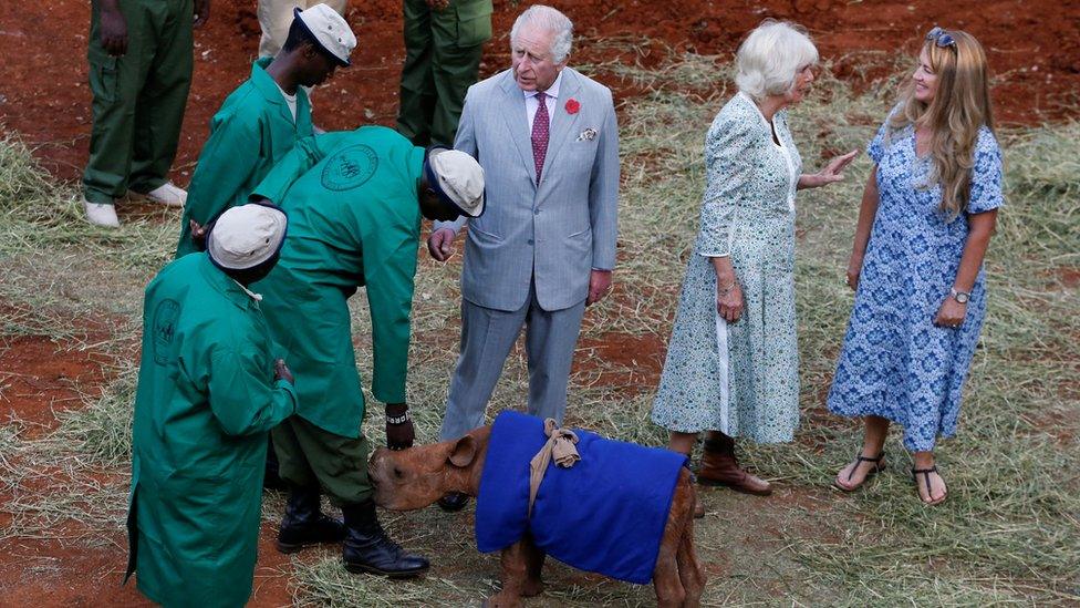 Orphaned elephant and Charles and Camilla